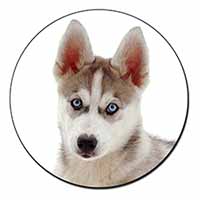 Siberian Husky Fridge Magnet Printed Full Colour