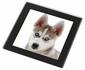 Siberian Husky Black Rim High Quality Glass Coaster