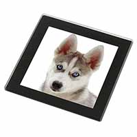 Siberian Husky Black Rim High Quality Glass Coaster