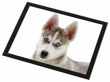 Siberian Husky Black Rim High Quality Glass Placemat