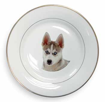 Siberian Husky Gold Rim Plate Printed Full Colour in Gift Box