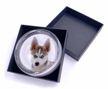 Siberian Husky Glass Paperweight in Gift Box