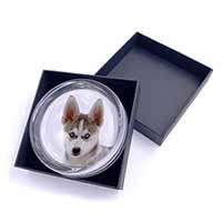 Siberian Husky Glass Paperweight in Gift Box