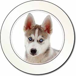 Siberian Husky Car or Van Permit Holder/Tax Disc Holder