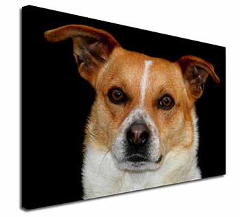 Jack Russell Terrier Dog Canvas X-Large 30"x20" Wall Art Print