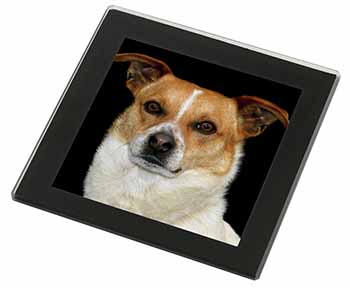 Jack Russell Terrier Dog Black Rim High Quality Glass Coaster