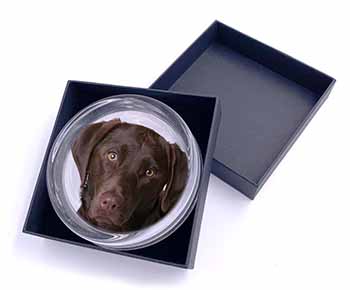 Chocolate Labrador Glass Paperweight in Gift Box