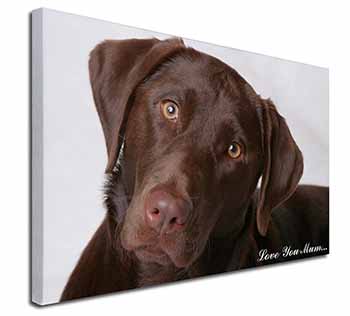 Chocolate Labrador 