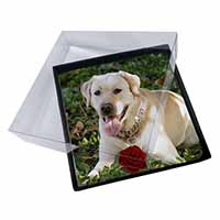 4x Yellow Labrador with Red Rose Picture Table Coasters Set in Gift Box