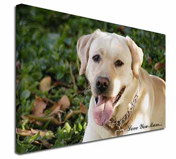 Yellow Labrador Dog 