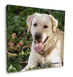 Yellow Labrador 