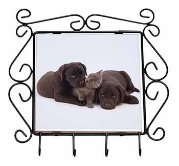 Black Labrador Dogs and Kitten Wrought Iron Key Holder Hooks