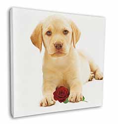 Yellow Labrador Puppy with Rose Square Canvas 12"x12" Wall Art Picture Print