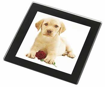 Yellow Labrador Puppy with Rose Black Rim High Quality Glass Coaster