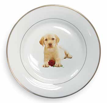 Yellow Labrador Puppy with Rose Gold Rim Plate Printed Full Colour in Gift Box