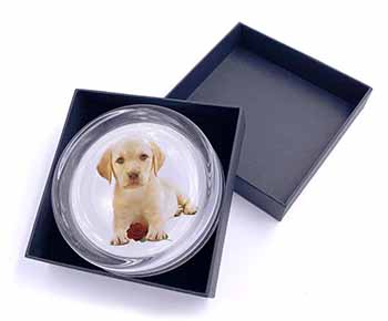 Yellow Labrador Puppy with Rose Glass Paperweight in Gift Box