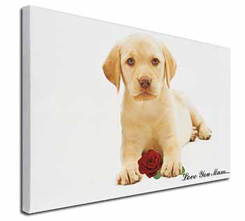 Labrador+Rose 