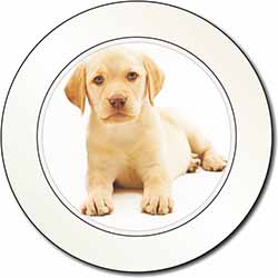 Yellow Labrador Car or Van Permit Holder/Tax Disc Holder