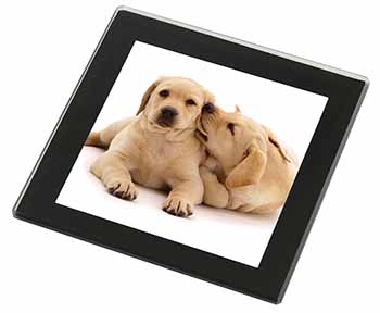 Yellow Labrador Dogs Black Rim High Quality Glass Coaster