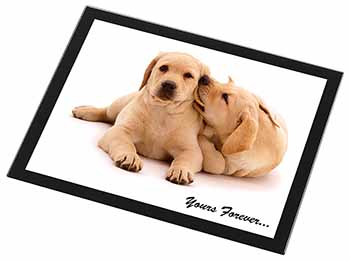 Labrador Puppies 