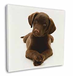 Chocolate Labrador Puppy Dog Square Canvas 12"x12" Wall Art Picture Print