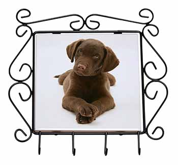 Chocolate Labrador Puppy Dog Wrought Iron Key Holder Hooks