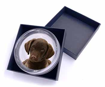 Chocolate Labrador Puppy Dog Glass Paperweight in Gift Box