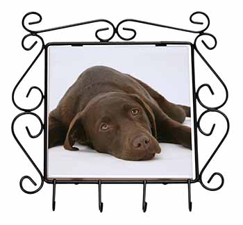 Chocolate Labrador Dog Wrought Iron Key Holder Hooks