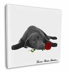 Labrador with Rose 