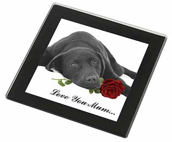 Labrador with Rose 