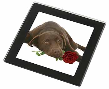 Chocolate Labrador with Red Rose Black Rim High Quality Glass Coaster