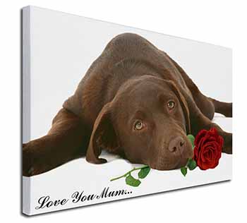 Choc Labrador with Rose 