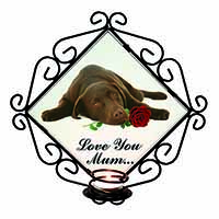 Choc Labrador with Rose 