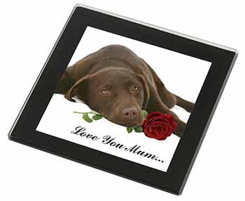 Choc Labrador with Rose 