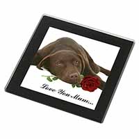 Choc Labrador with Rose 