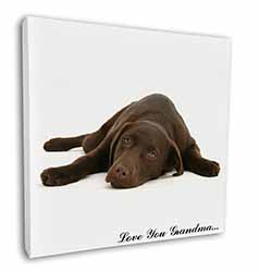 Chocolate Labrador Grandma Square Canvas 12"x12" Wall Art Picture Print