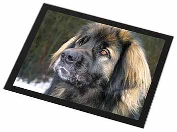 Black Leonberger Dog Black Rim High Quality Glass Placemat