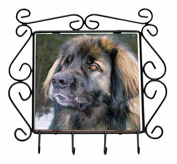 Black Leonberger Dog Wrought Iron Key Holder Hooks