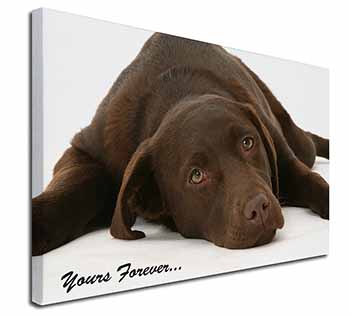 Chocolate Labrador Dog Love Canvas X-Large 30"x20" Wall Art Print