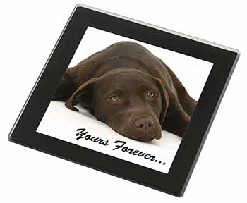 Chocolate Labrador Dog Love Black Rim High Quality Glass Coaster