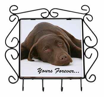 Chocolate Labrador Dog Love Wrought Iron Key Holder Hooks