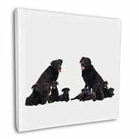 Black Labradors Square Canvas 12"x12" Wall Art Picture Print