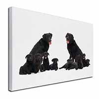 Black Labradors Canvas X-Large 30"x20" Wall Art Print