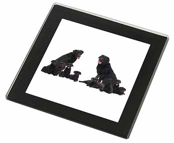 Black Labradors Black Rim High Quality Glass Coaster