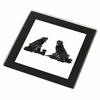 Black Labradors Black Rim High Quality Glass Coaster