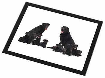 Black Labradors Black Rim High Quality Glass Placemat