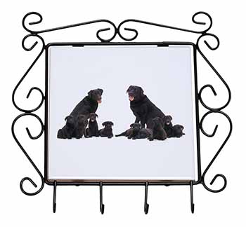 Black Labradors Wrought Iron Key Holder Hooks