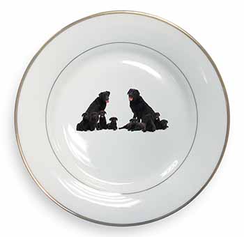 Black Labradors Gold Rim Plate Printed Full Colour in Gift Box