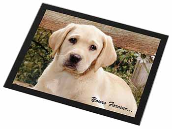 Yellow Labrador Pup 