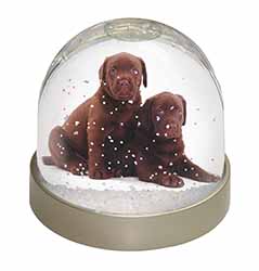 Chocolate Labrador Puppy Dogs Snow Globe Photo Waterball